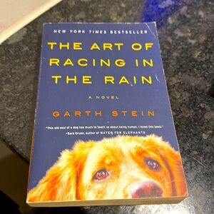 The Art of Racing In The Rain